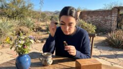 Blush Placement Technique: A Subtle Adjustment That Visually Reshapes Facial Balance After 30