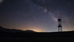 Goodbye Natural Night Cycles The Growing Impact of Artificial Light on Humans and Wildlife