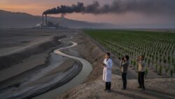 Planting a billion trees in China is saving the planet or just hiding the real environmental disaster