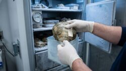 This animal lived on the seabed since 1499 and died in a lab freezer – did science go too far?