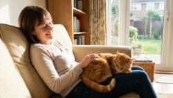 What are the benefits of having a cat at home ?