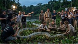 Amazon discovery of a 7.5 metre giant anaconda during a Will Smith shoot sparks furious debate over whether it’s a historic find or a manufactured spectacle