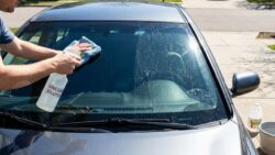 People who leave tips share these 3 traits