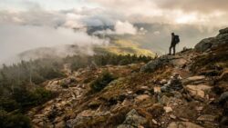 Psychologists reveal why emotional recovery is rarely linear