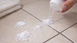 Goodbye to blackened grout: the quick hack, no vinegar or bleach, for a spotless tiled floor