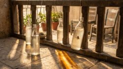 Hanging bottles with water and vinegar on the balcony : why people recommend it and what it’s really for