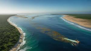 A brown ribbon as long a