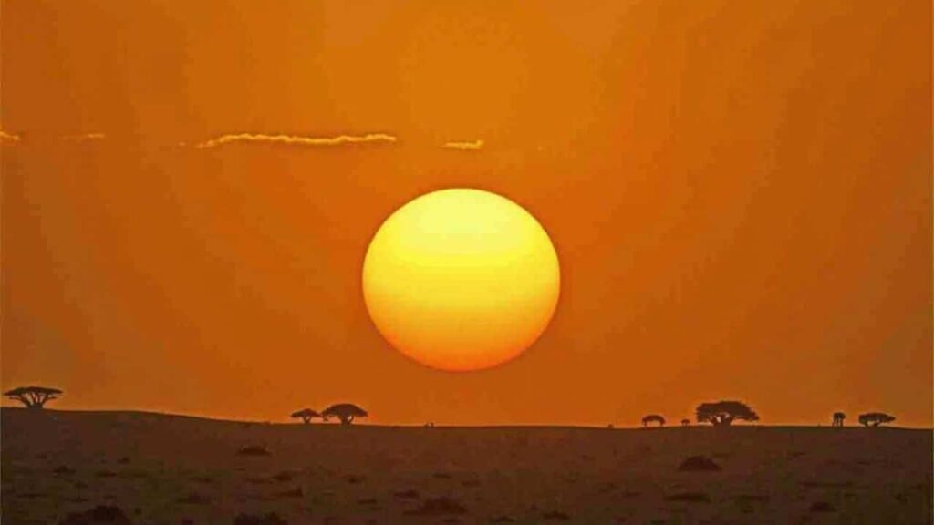 excessive-rainfall-could-transform-the-sahara-and-upend-africas-balance-study-warns-1