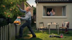 Landlord crosses the fence to pick fruit in tenant garden a clash between ownership and privacy that splits the street