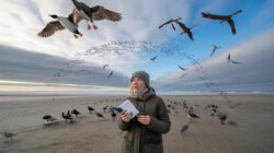 Meteorologists warn early February Arctic breakdown may affect bird migration timing worldwide